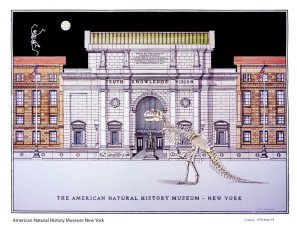 American Natural History Museum New York