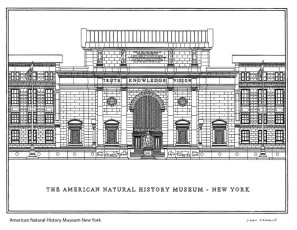 American Natural History Museum New York Elevation