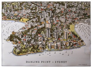 Darling Point Aerial View