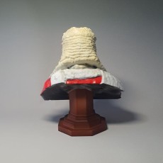 Supreme Court Judge 3d Sculpture Simon Fieldhouse (6)